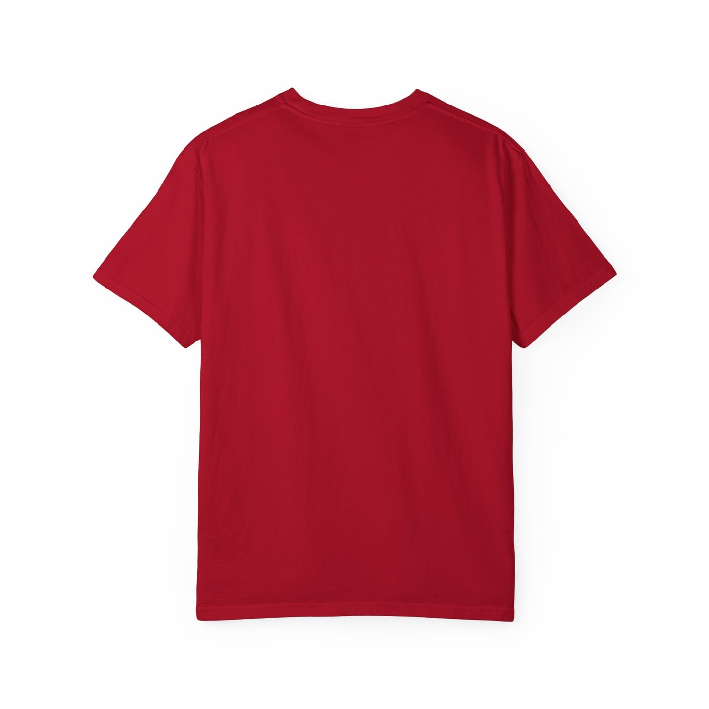 Wisconsin Owned Garment-Dyed T-shirt